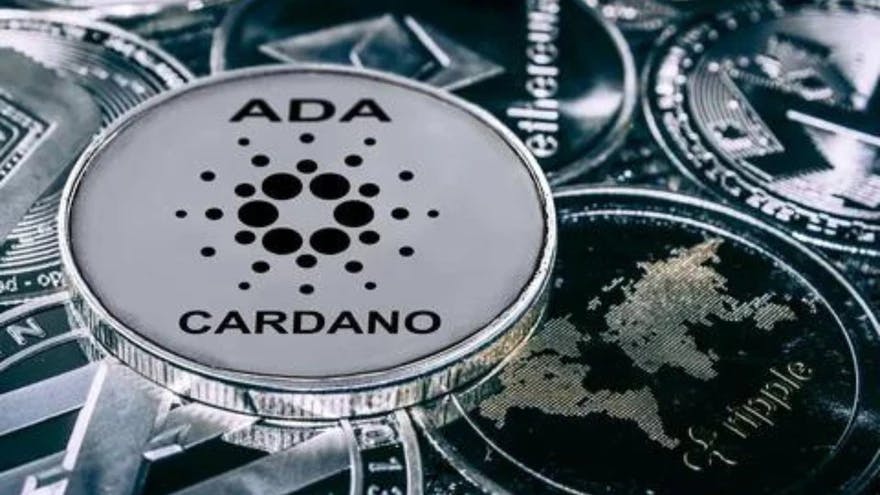 Argentina impulsa la creación de un fondo de inversión para aglutinar protocolos de Cardano